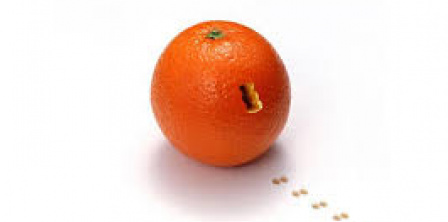 Топ порушників прав журналістів: хто найбільше заважав працювати запорізьким журналістам у 2020 році