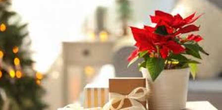 Карантин, вибори, суди й закриті справи: яким був 2020-й для рівненських ЗМІ www.stourbridgenews.co.uk