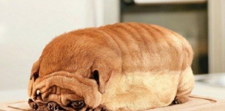 “Жорсткі” аварії, несправжній землетрус і міська легенда про товсту собаку: як маніпулюють аудиторією дніпровські онлайн-медіа www.depo.ua