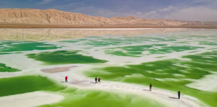 Ситуація зі свободою слова в Миколаєві: депутати проти журналістів
