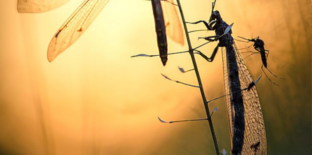 Кома сільської ради на Вінниччині розкрила чимало цікавинок