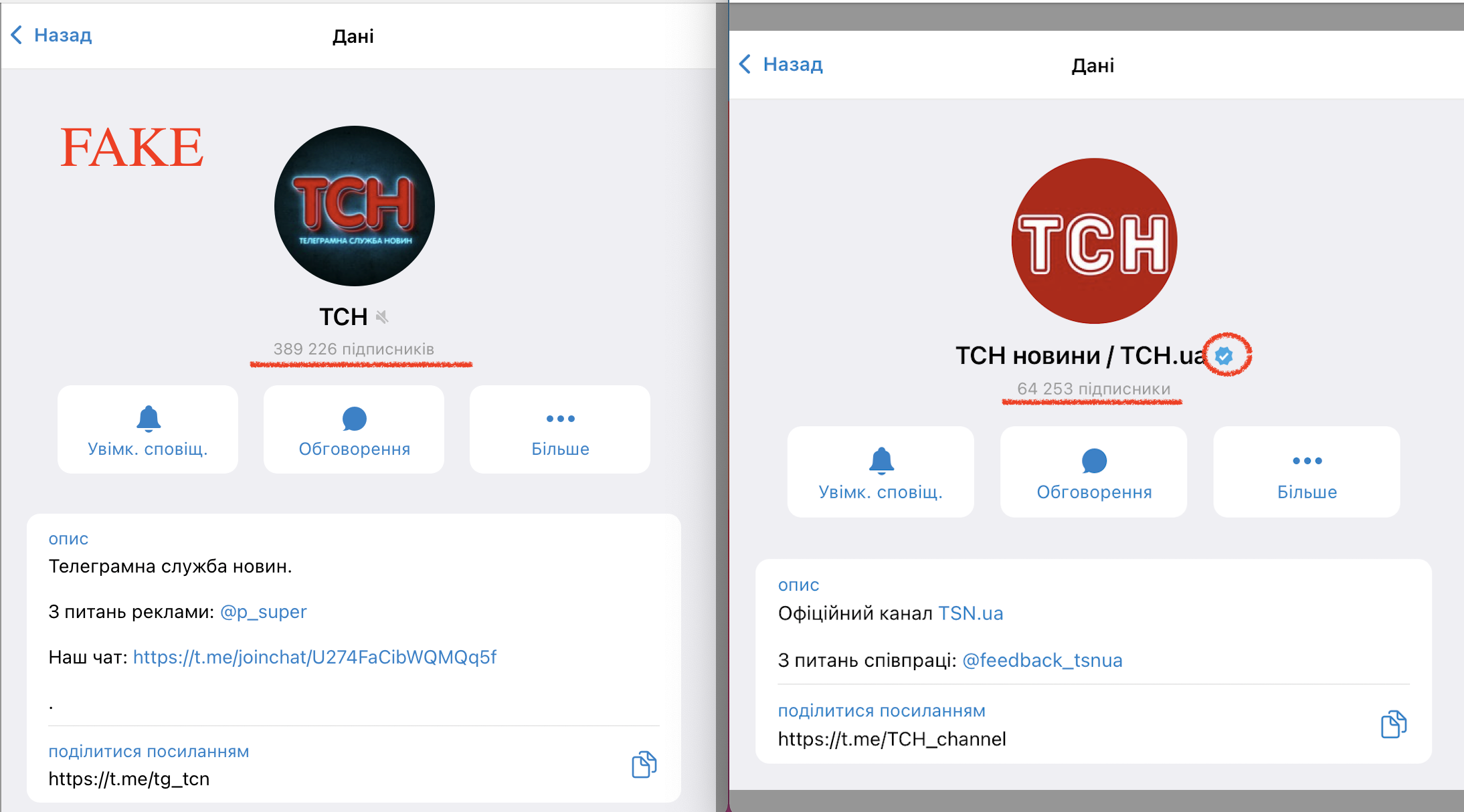 TSN clone listed in five most popular telegram channels