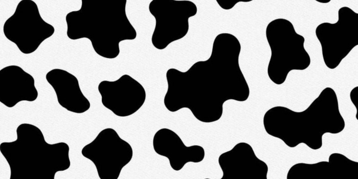Cow wallpaper by MACHOMANTJ 