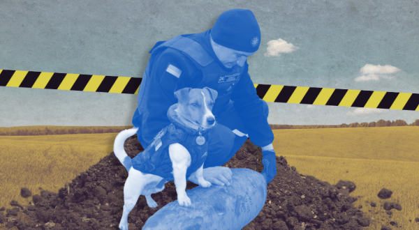 Фото ДСНС, колаж ІМІ