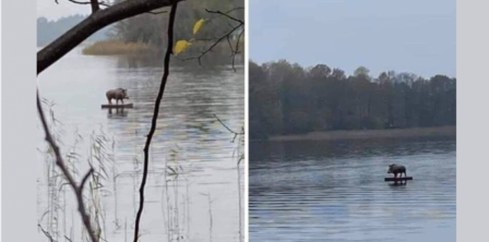 Фото – H. Kowalska / ilawa.wm.pl