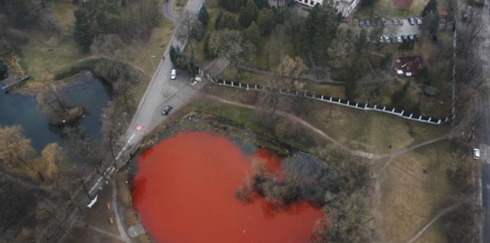 Пофарбований ставок під посольством рф у Вільнюсі. Фото DELFI/Andrius Ufartus